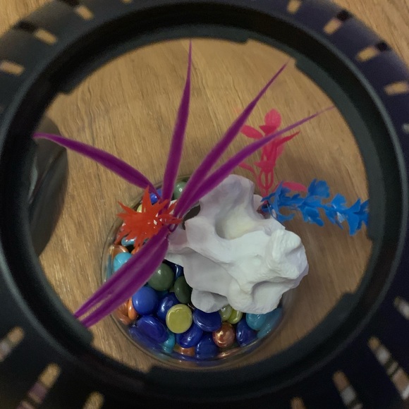 Small fish tank - Picture 3 of 3